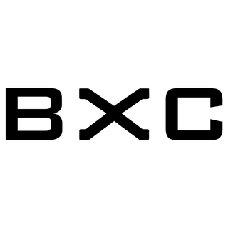 Brand X Concept Logo