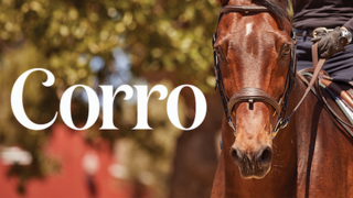 Corro Logo