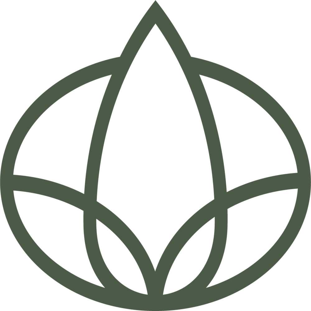 Dfuser.nl NL Logo