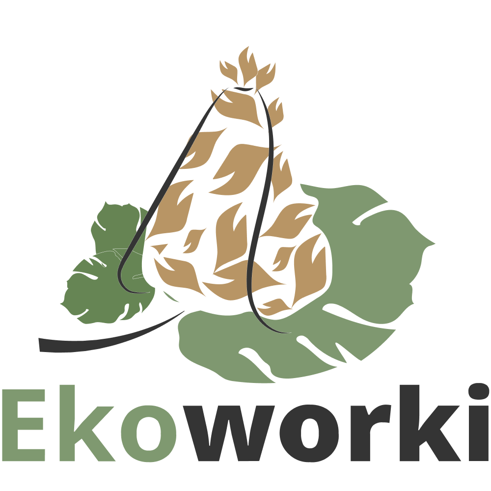 Eko Worki PL Logo