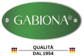 Gabiona IT Logo