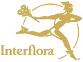 Interflora IT Logo