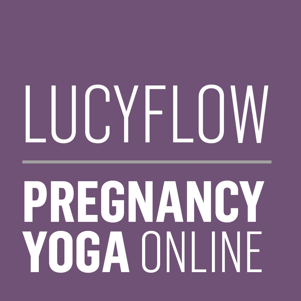 LucyFlow.com Logo