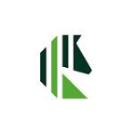 Reemo Innovation US Logo