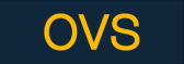 OVS IT Logo