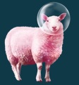 Pink sheep wellness US Logo
