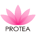 Protea Hair US Logo
