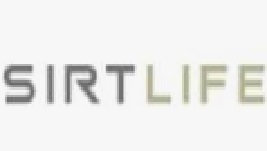 Sirt500 IT Logo