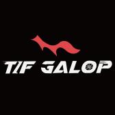 Tifgalop USA Logo