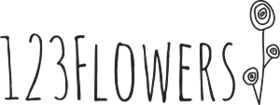 123 Flowers Logo