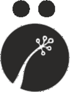 Ami Iyok Logo