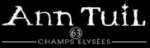 Anntuil Shopping Logo