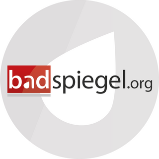 Badspiegel DE Logo