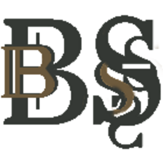 Barokspiegel.nl Logo