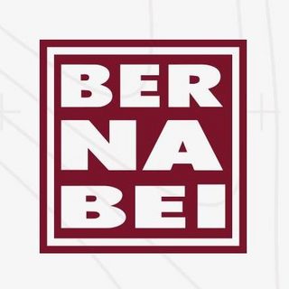Bernabei IT Logo