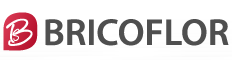 Bricoflor.co.uk Logo