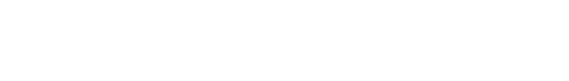 Bushman Logo
