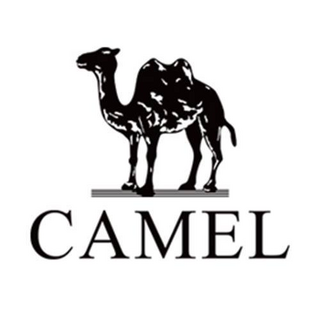 American Camel International Invest Enterprise LTD Logo