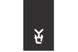Disenyo.shop Logo