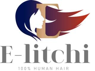 E-litchi US Logo