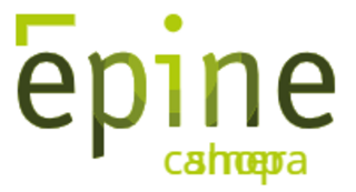 Epine Logo