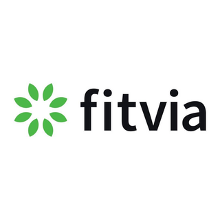 Fitvia IT Logo