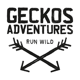 Geckos Adventures AU Logo
