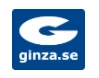 Ginza SE Logo