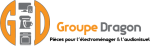 Groupe dragon Logo