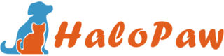 SZ SWT Logo