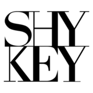HK Shykey Network Technology US Logo