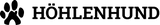 H Logo