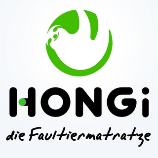 Hongi.com Logo