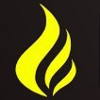 Incinerex.com US Logo