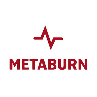 MetaBurn Logo