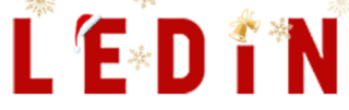 Ledin US Logo