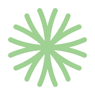 löwenzahn organics Logo