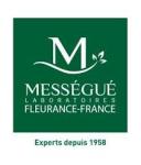 messegue.com Logo