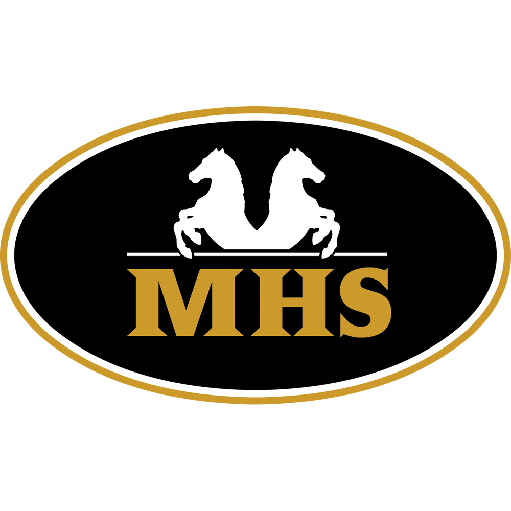Minihorseshop DE Logo
