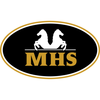 Minihorseshop NL Logo