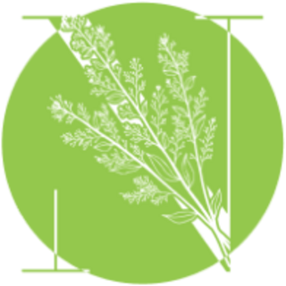 Natonic Logo