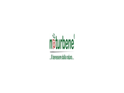 Naturbene IT Logo
