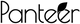 Panteer DE Logo