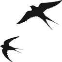 Peachaus Lounge Logo