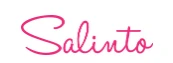 Salinto NL Logo
