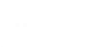 Shelbybrothers.com/nl NL Logo