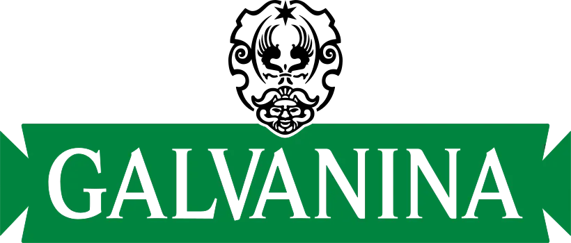 Galvanina IT Logo