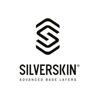 SilverSkin IT Logo