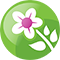 Swiatkwiatow PL Logo
