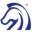 Stcusa US Logo